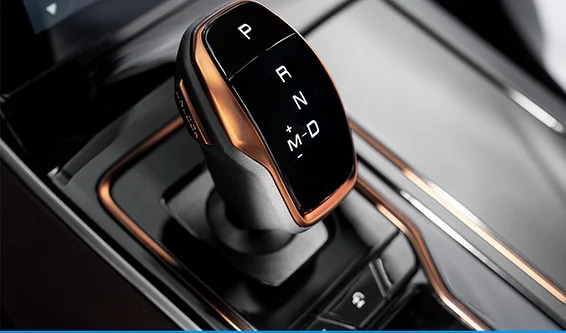 DestacadosPaladinImagen4